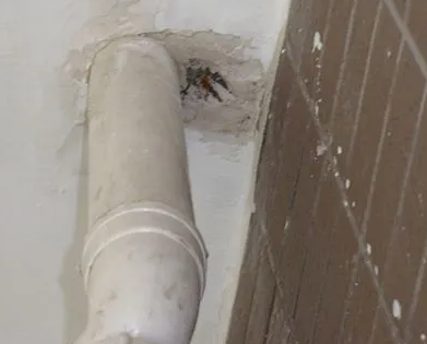 平泉漏水检测哪家好